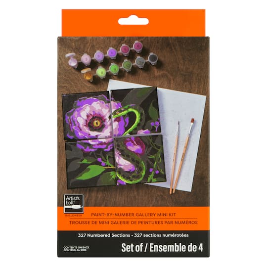 Flower & Snake Paint-by-Number Gallery Mini Kit by Artist's Loft®